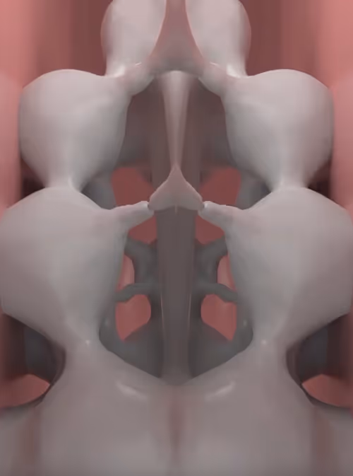 Item #23751255109197474086874167065765523759466574704081503723880972723867239841793 Media