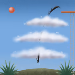 Sky Diving