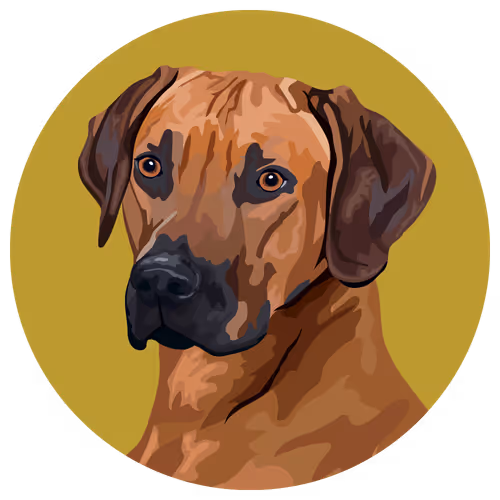 54766349128176429303044182404049584425310907481653304317570413820981169618945