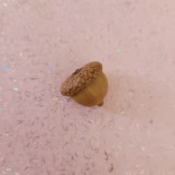 Acorn