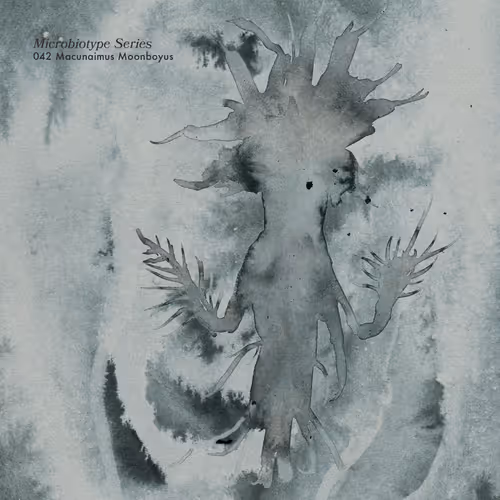 Item #20537471166803336483697920459392139182541277411208615206121837264685831815169 Media