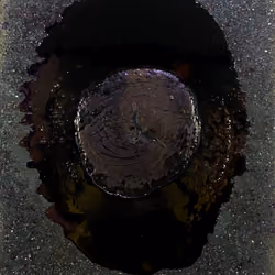 Black Matter