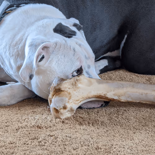 Eowyn_Goofball Collection