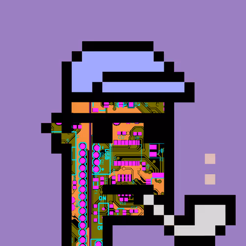 Punkcircuit