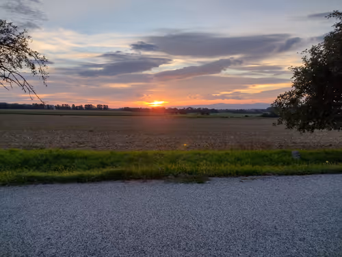 Item #66986805540812077798034480199929320833046015075077578099897003007779971006465 Media