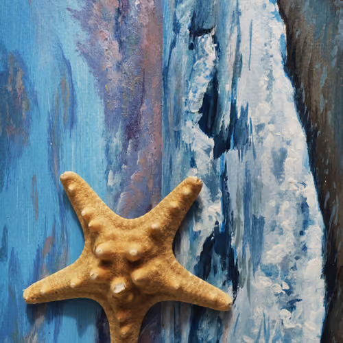Starfish and the sea 