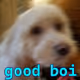 51737037309827979328808096631465171988282262546487082904930668214088579940353