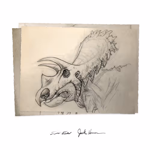 Item #22582927822880265950669941219355019494534003366966592492782895261063128809473 Media