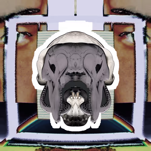 Item #90229959295598851956528984411283838720793131299614087563822372714508940476417 Media