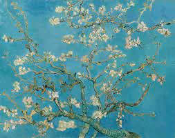 van gogh
