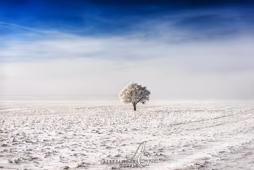 Item #65345487953311582179904319908136273825398030986349115812322284598531232628737 Media