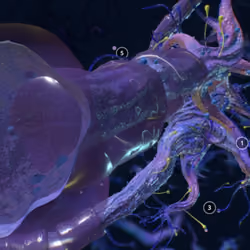 Neurons #0010