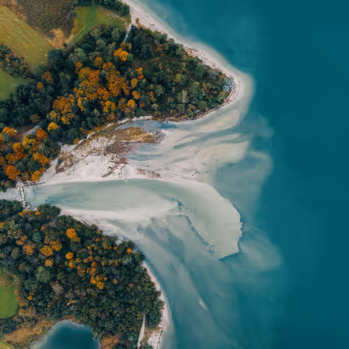 Moments In Nature By Alex Trajilovic