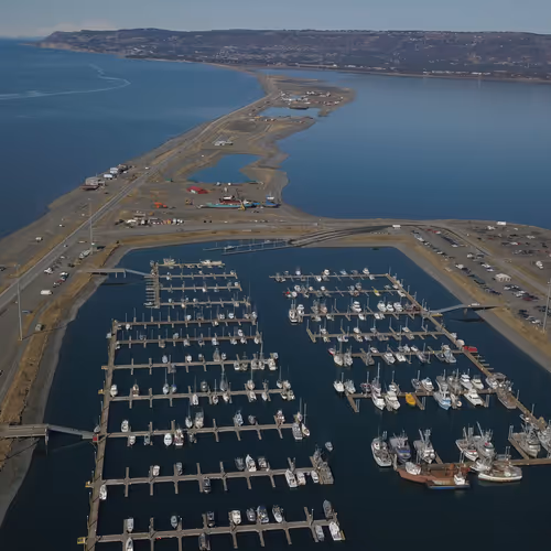 AK_SnowMonkey Collection