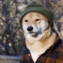 Swag