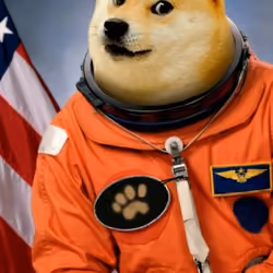 Space Doge