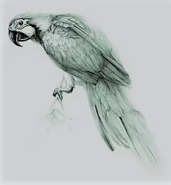 Item #87883982563548896156173273073311949349227832821520783142673990968928762855425 Media