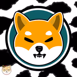 Shiba MooMoo
