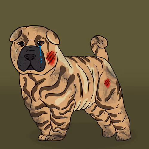 Item #18929025953091685879740265421444029621973902778044225700407145463804611002369 Media