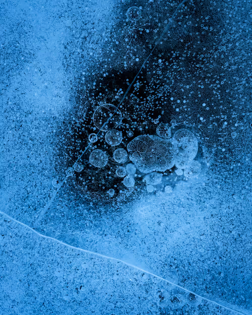 Item #92025450797269199699519638407999947828010124563072321716364901895752048967681 Media