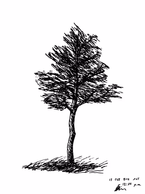 Item #56015115038809647444638208556980381389535659846362866368416961651388570402817 Media