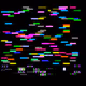 17531985507226977115181976173387459372896127238250714902649437225622599368705