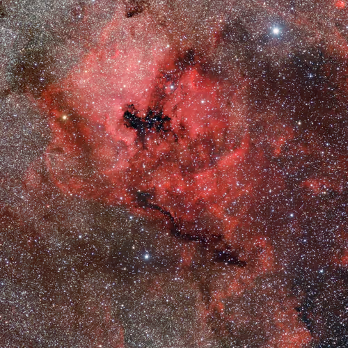 Cosmos005