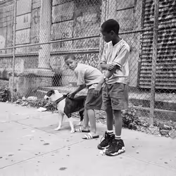 115410997171317155764443988652644107409655118750289847059354162948358243614721