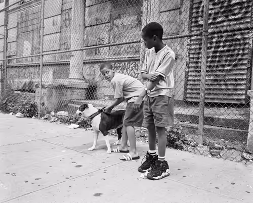 Item #115410997171317155764443988652644107409655118750289847059354162948358243614721 Media