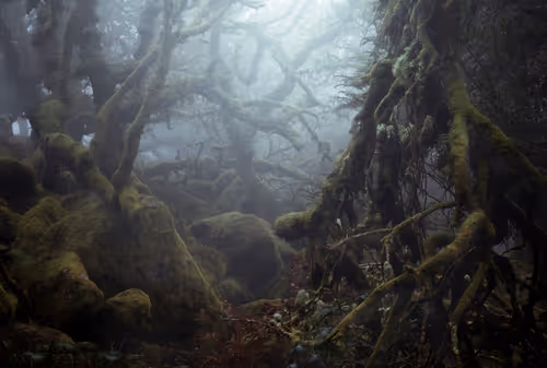 Item #72639390708267126639436568569652760193401123475841185469851730237862073860097 Media