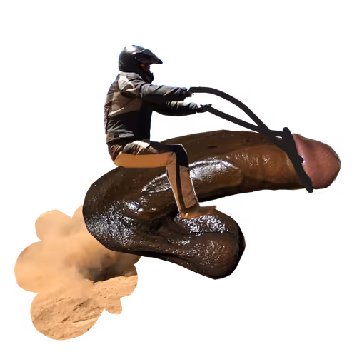 Untitled Collection #62859839