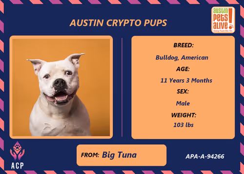 Item #17951378556605612276483806045649535824451571419947225201384628595314384699393 Media