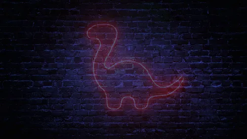 Item #108889318485187304998503554534080195980171243654261671290847543402715240464385 Media