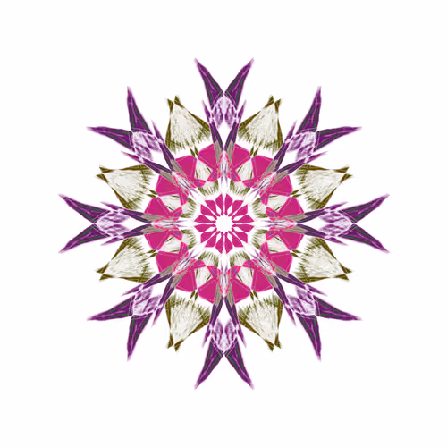 26185187814367725376940026929040218982398144969044494291860281322543190638593