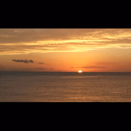 Untitled Collection #440023302