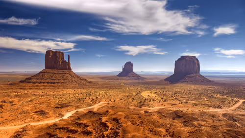 Untitled Collection #58552843