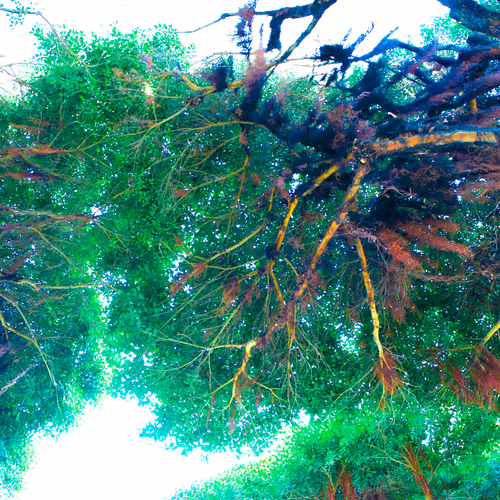 granitoale Collection