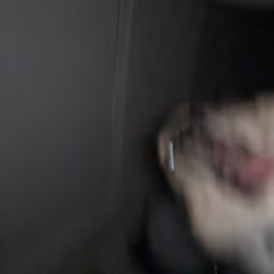 Wut God Dogu
