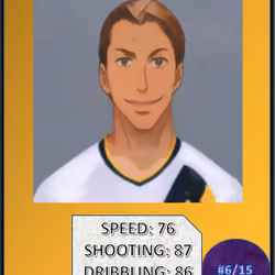 Ibra #6