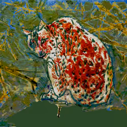 Lynx #11