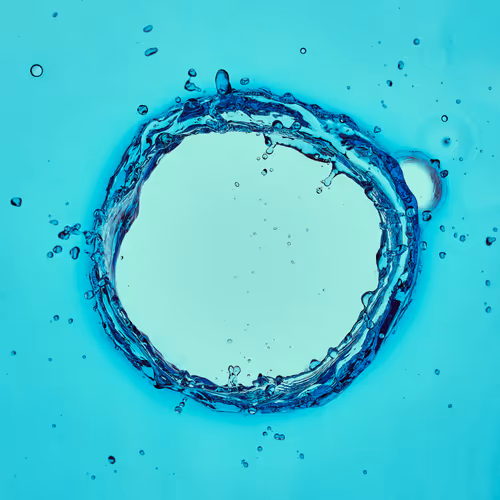 46489901761508154690977052556102681350934379687164571149816291772269840039937