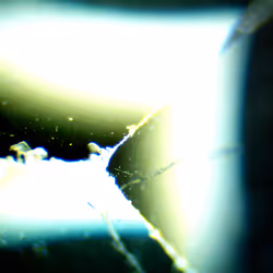 71646257518770613568983710813551014237803002136866425209291834680503493984257