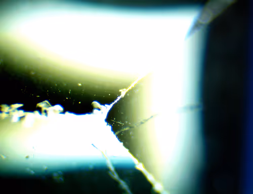 Item #71646257518770613568983710813551014237803002136866425209291834680503493984257 Media