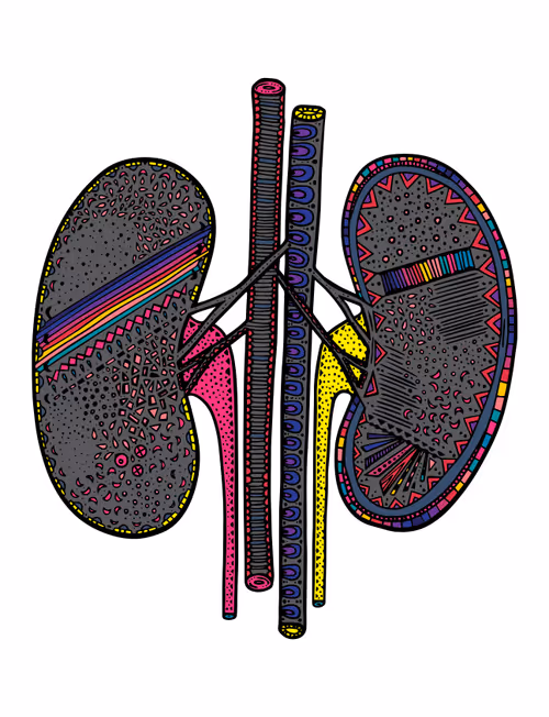 Item #28824502245252267217549902857601847351510039266873569823091148334951737327617 Media