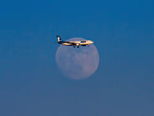 Item #42729861163771567341829383527928804346395504849525264536095462045394929713153 Media