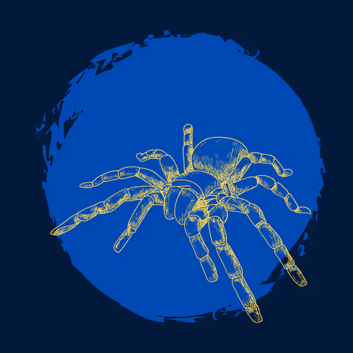 Item #79067907305230177002014129353343413869651970885450883453575323036252943417345 Media