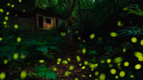 Item #95959012453955808613832479973622577136633073977995899638249620758439437271041 Media