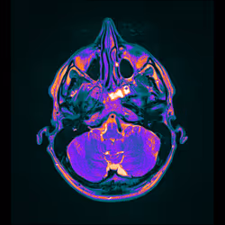 64162533542198579898252916190583583845604629893829087458582975837051971174401