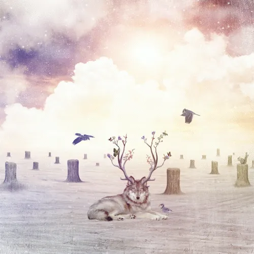 Item #8085254141654812684738761113738258081454055288701000052945293851408549806081 Media