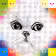 36715686376031120523736756828076464389043366905732350703641975433019529363457